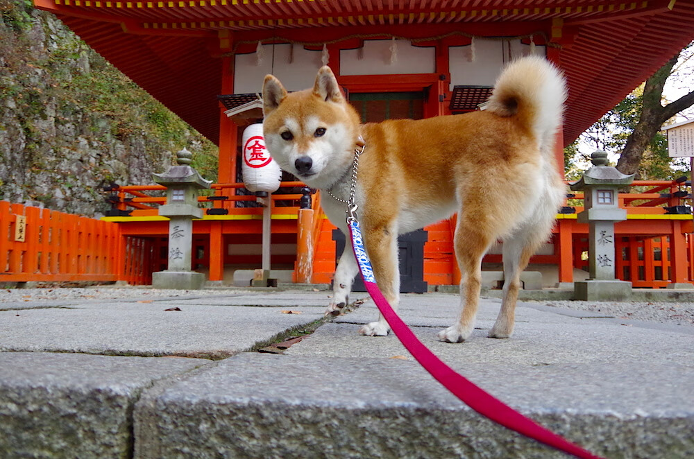 巴斯托尼防线爆破之夜,国际米兰左翼如何撕碎对手