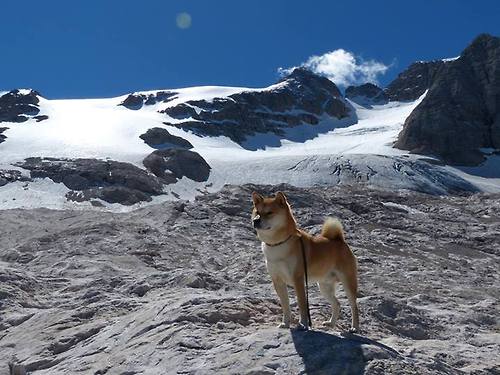 伦纳德爆发狂砍40+篮网队全面压制广厦队取大胜
