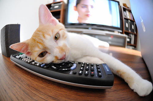 双线破局,范戴克的叹息之墙与雷恩的战术闪电,如何定义现代欧战?